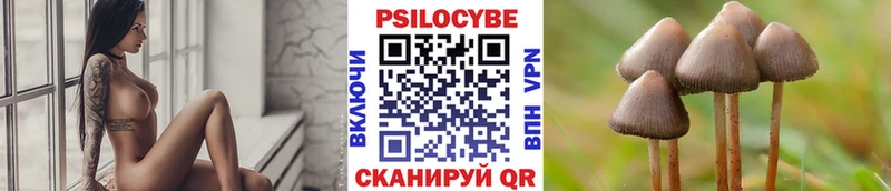 где купить наркоту  Магадан  Псилоцибиновые грибы ЛСД 